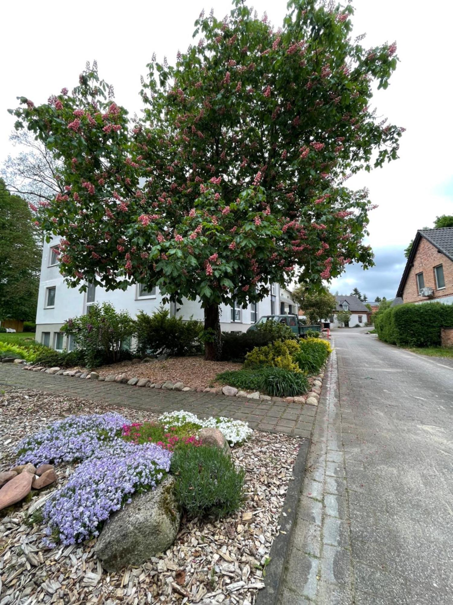 Hotel Luther Birke Wittenberg Exterior photo